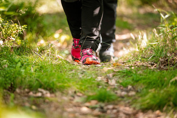 Gute Wanderwege gehören auf die Packliste Wanderurlaub im Bayerischen Wald